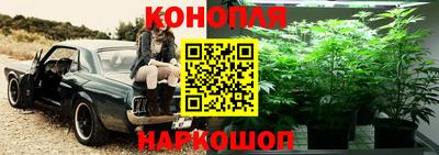 эйфоретик Бугуруслан