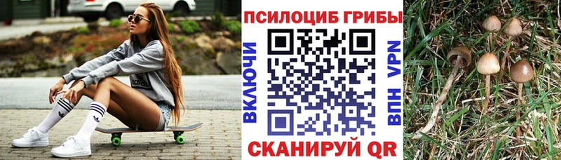 Псилоцибиновые грибы GOLDEN TEACHER  где найти   Каменск-Шахтинский 