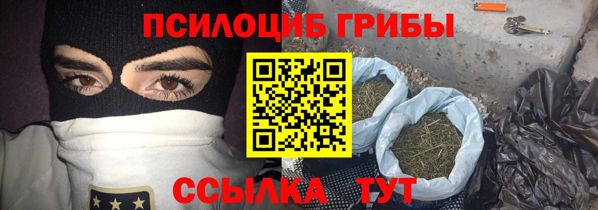 Псилоцибиновые грибы GOLDEN TEACHER  Вход с VPN  Каменск-Шахтинский 